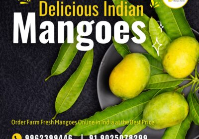Abi-Mango-Farm-Fresh-Mangoes-Online