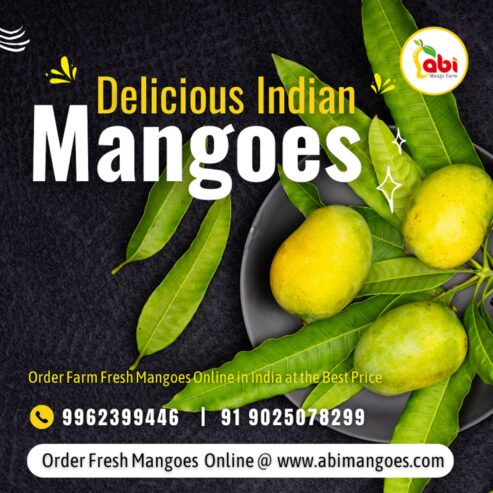 Purchase Farm Fresh Mangoes Online From Abi Mango Farm