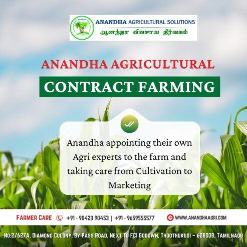 Anandha Agricultural Solutions is Expert in Nursery Garden designer