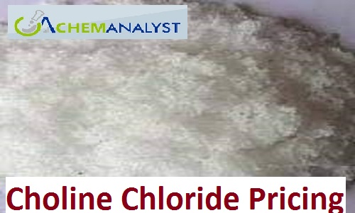 Choline Chloride Pricing Trend and Forecast