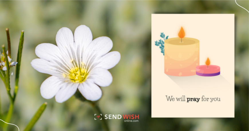 Sympathy cards online