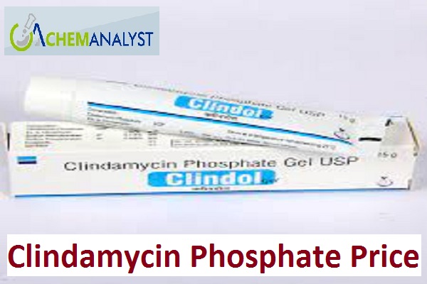 Clindamycin Phosphate Price Trend and Forecast