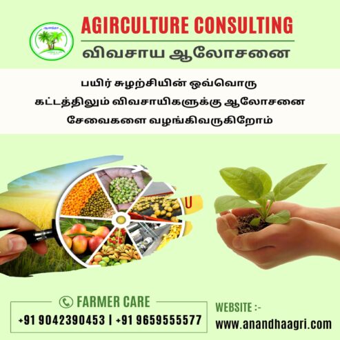 Best Agronomist consultant in Tamilnadu