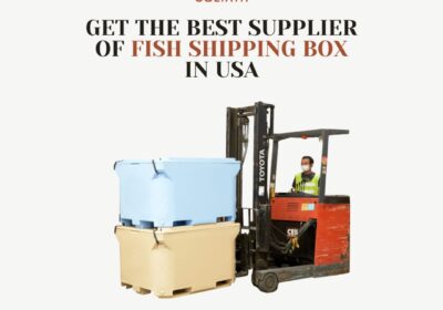 GET-THE-BEST-SUPPLER-OF-FISH-SHIPPING-BOX-2