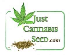 JustCannabisseedS