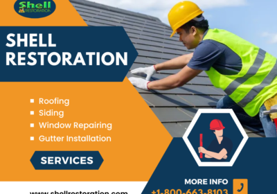 Shell-Restoration-1