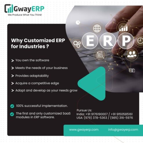 Customized Software for manufacturing industries