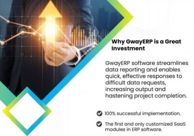 Why-GwayERP-2