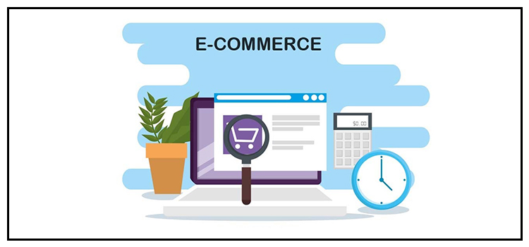 Why You Should Check the Case Studies and Portfolio of Best SEO Company in Delaware?