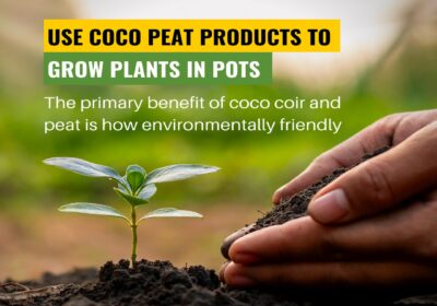 Coco-Coir