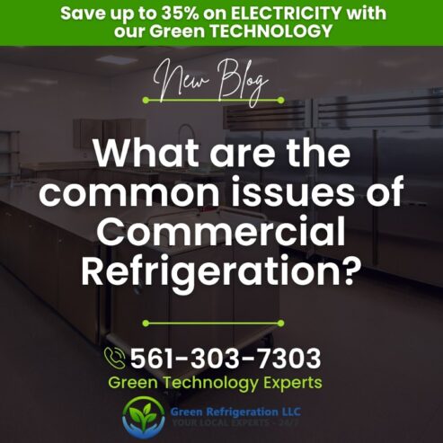 Common Problems with Refrigerators and Freezers – South Florida