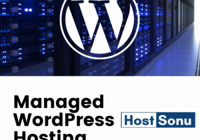 WordPress-Hosting