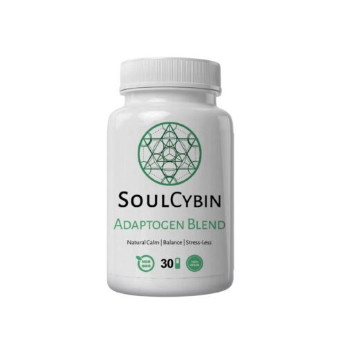 cybin stock
