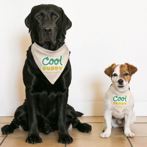 Cool Buddy Pet Bandana Collar