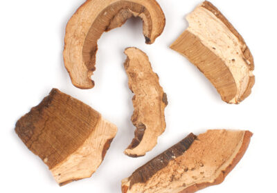 m04-porcini-extra-mushrooms-main