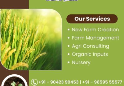 Our-Services-as-Follows