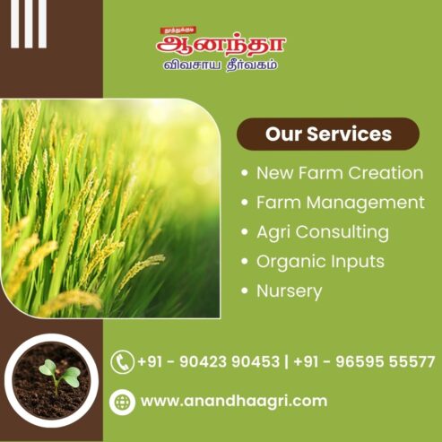 Best Farming advice in Tamilnadu