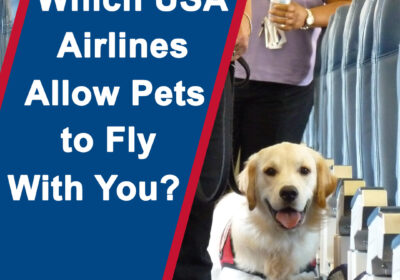 Pet-Travel