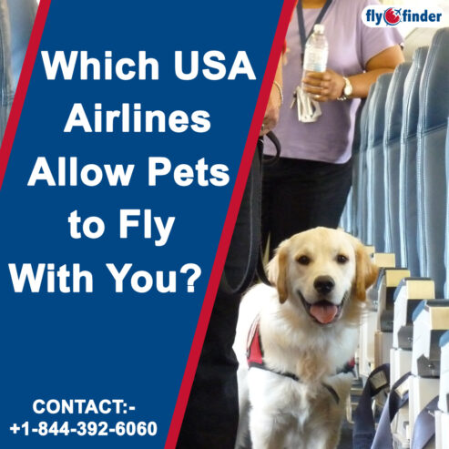 United Airlines Pet Reservations | FlyOfinder