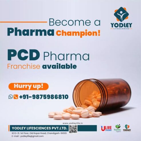 Pharma Franchise in Panchkula