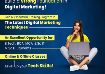 Digital-Marketing-classes-in-Panchkula