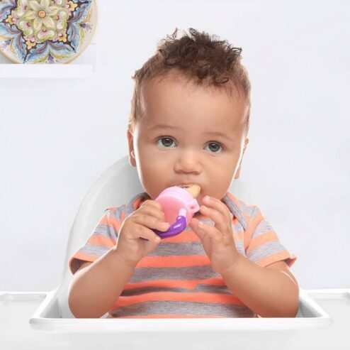 Fruit Feeder Pacifier