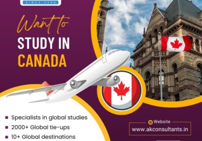 AK-Consultants-Study-Abroad-Consultant