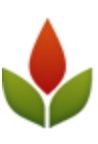 PHOENIX-SEO-LOGO-PROFILE_082946