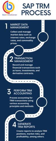 SAP TRM Online Training | SAP Treasury and Risk Management