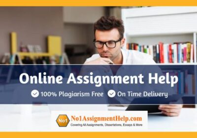 online-Assignment-Help-1