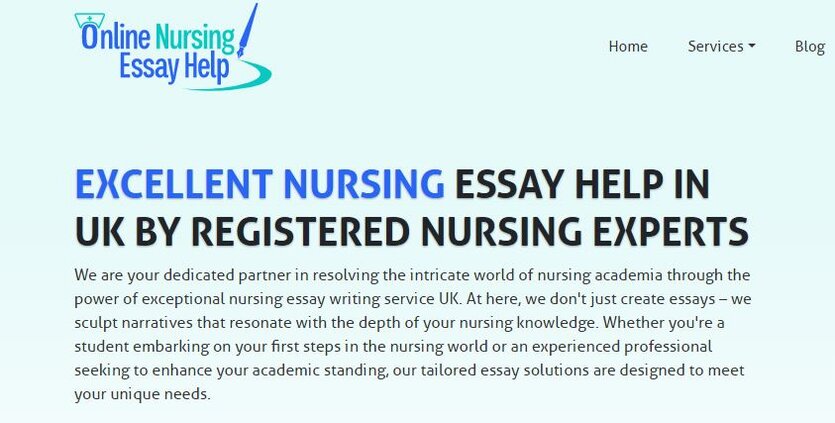 best nursing assignment help