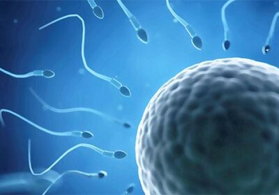 ivf-causes-of-infertility