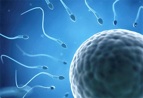 Australian Concept Infertility Medical Center