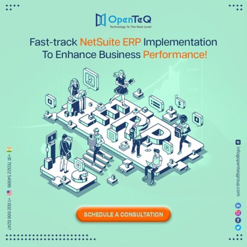 OpenTeQ NetSuite Implementation Services | NetSuite Implementation Team | NetSuite ERP Implementation