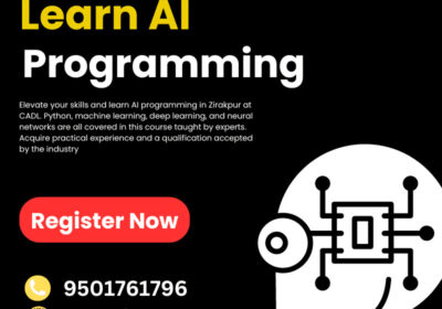 Learn-AI-programming-1