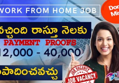 Work-From-Home-Job-In-Telugu-Typing-data-entry-1024×576-1