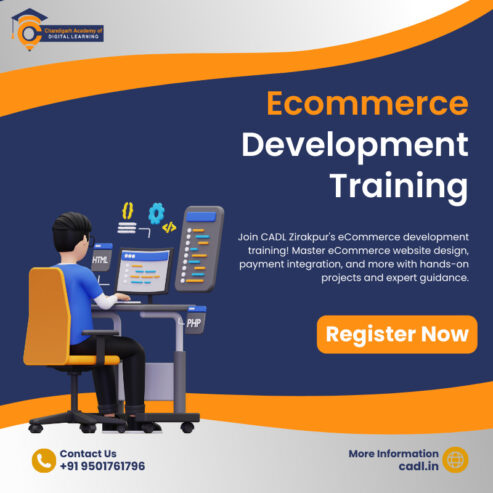 ecommerce development training in Zirakpur