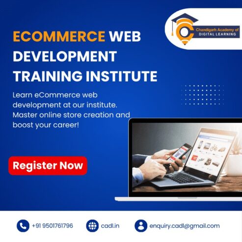 Ecommerce Web Development Training Institute