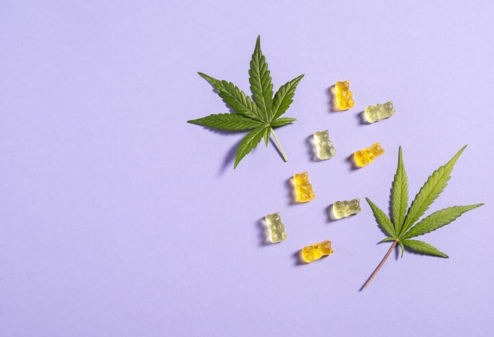 Alpha Labs CBD Gummies Pricing for Alpha CBD Gummies