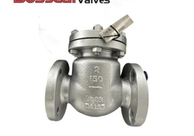 1841019-bolted-bonnet-swing-check-valve-cl150-2in-wcb-bs-1868_WNAcGu-600×600.webp