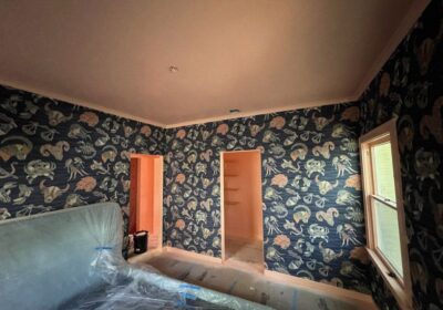 Davyd-Tkachenko-wallpapers-LA-2-02.22.24_result