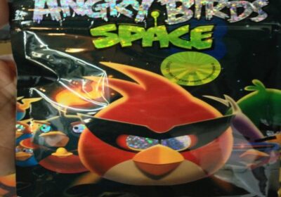 angry-birds-600×450-1
