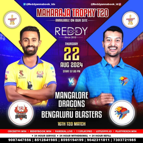 Unlocking Success: Reddy Anna Became India’s Premier ID Service Provider in 2024