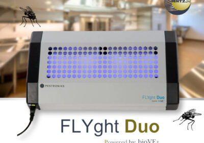 Fly-light-trap