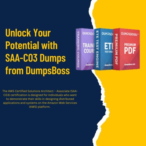 DumpsBoss: Premier Provider of SAA-C03 Dumps