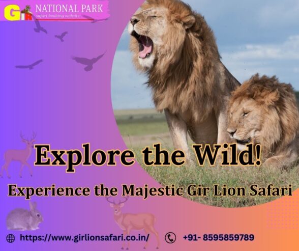 Book Your Gir Safari Tour and Explore Gir National Park!