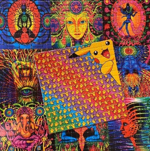 Buy Mushroom / Shrooms / premium psychedelic