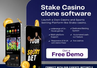 stake-clone-script-1