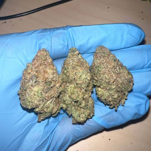 Shop Semi-Dry Hash Online – Smokers Co.