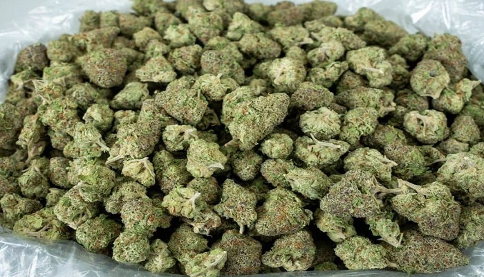 Embrace Wellness: Explore the Options to Buy CBD Online